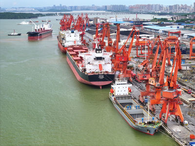 從7月數(shù)據(jù)透視中國經(jīng)濟增長新動能 國內(nèi)貿(mào)易活力彰顯